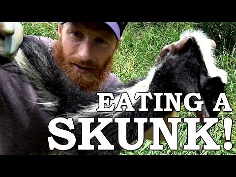 Catch and Cook SKUNK | IT'S LIKE DIFFUSING A BOMB! | We Ate The Whole THING!