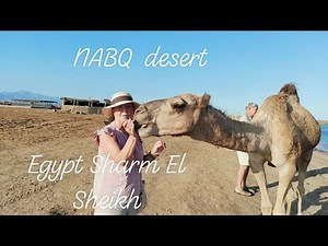 Egypt, Sharm El Sheikh, NABQ desert, Protected Area