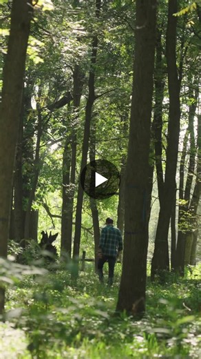 #silvopasture | Harry Greene