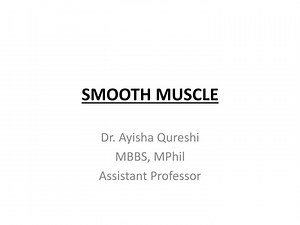 SMOOTH MUSCLE - SlideServe