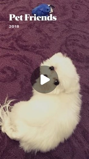 Heather Locklear on Instagram: "Love"