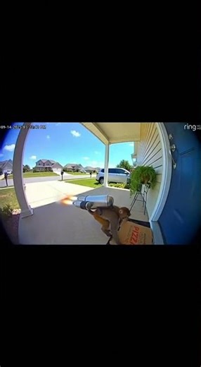Jetpack Monkey Delivers Pizza?! 🐒🚀🍕 (Caught on Ring Cam)
