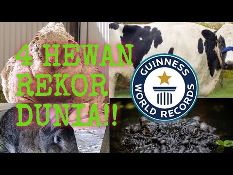 4 Hewan Unik yang Masuk Guinness World Records‼️