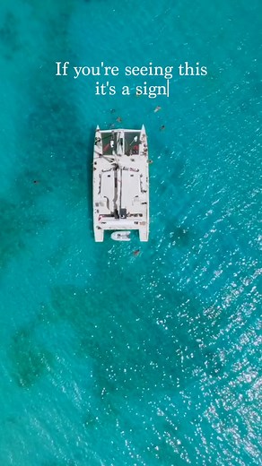 3.1K views · 44 reactions | Take this as your sign… ☀ The ultimate day in paradise awaits at the link in our bio.⛵ #CoolRunningsBarbados #CaribbeanTravel #ThisIsYourSign #OutdoorsyTravel | Cool Runnings Catamaran Cruises | Facebook