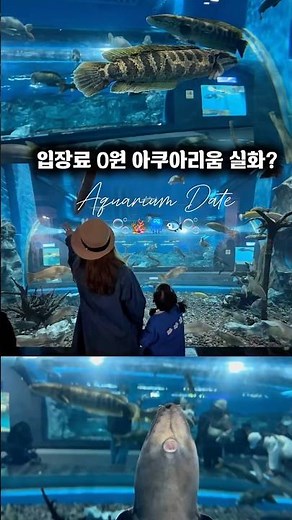 입장료 0원? 요즘 난리 난 역대급 무료 아쿠아리움 🐬#shorts #국내여행지추천 #국내여행