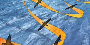 The Nearly Effortless Flight of the Albatross