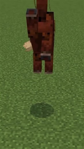 Toycat (ibxtoycat) on Instagram: "What’s your favourite horse variant? #minecraft #minecraftbedrock #minecrafters #minecraftupdate #minecraftpe"