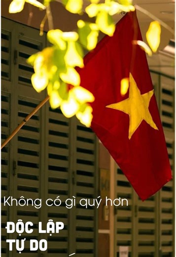 🇻🇳🇻🇳🇻🇳 1 ❤️ yêu nước tại xứ sở kim chi #50nămgiaiphongmiennam #thốngnhatđatnuocvietnam #tôiyeuvietnam🇻🇳🇻🇳❤️❤️❤️❤️❤️❤️ #fypp