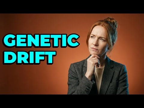 What Is The Effect Of Population Size On Allele Frequencies?