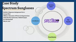 Case Study: Spectrum Sunglasses