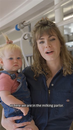 3.7K views · 74 reactions | Do you know how milk gets to the grocery store? As an ag fair, we are all about education and we love that our milking parlor has windows so you can see cows being milked during the fair. See the full video on our youtube channel. | Evergreen State Fair | Facebook
