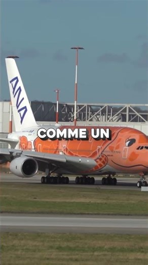 What is a GRAPHICS CARD? #hardware #pc #gaming