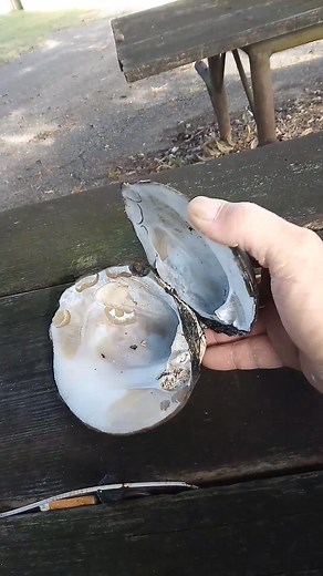 Large muscle | Bud Mckinney