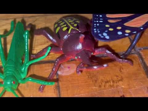 insect size comparison 3d