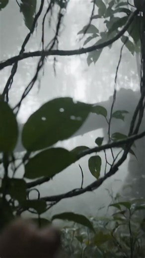 Fauna Vision | 👀 PENAMPAKAN WOODWOSE – MANUSIA RAKSASA BERBULU PENJAGA HUTAN EROPA? Sejarah & Asal Usul Woodwose, juga dikenal sebagai Wild Man of the... | Instagram