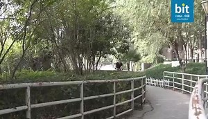 Quieren las bitcicletas de vuelta? 😎😎😎 | CHINA BIT