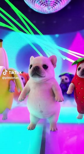 Pibble Dancing Meme: El Perro que Baila con Frutas y la Canción 'Wash My Belly'
