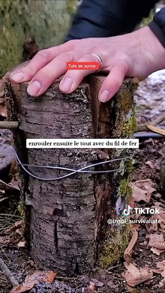 Secrets de Survie en Forêt : Astuces Essentielles