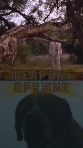 Python (Python 2000) vs Cujo (Cujo 1983) #edit #movie #capcut #syfy #shorts