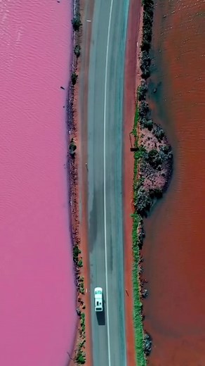 4.2K views | This is your sign to visit Western Australia ✨  For more Australia inspiration, visit: flightcentre.co.nz/deals/australia | Flight Centre New Zealand | Facebook