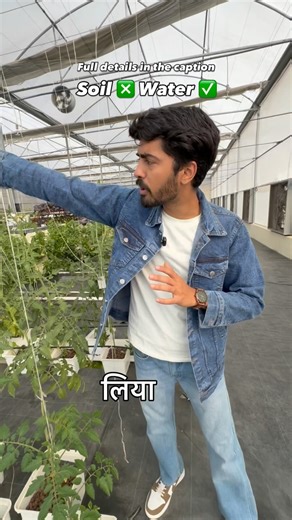 Divyansh Vijay | AgroWise 🇮🇳 on Instagram: "Share with your agri buddies ❤️ . A Dutch bucket system is a drip-based hydroponic method used for tomato, cucumber, capsicum, brinjal, strawberry. Extra nutrient water is collected and reused, so there is very less wastage. ⸻ How it works (Simple) 1. Nutrient water is stored in a tank 2. Pump sends water to buckets through drippers 3. Plant roots absorb nutrients 4. Extra water goes back to the same tank 5. This cycle repeats automatically ⸻ Main Pa