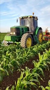 Animo animo | Jazieluco 1.0