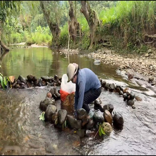 Single Mother Sets Traps and Unexpectedly Catches Giant Strange Fish #fishing #joyoffishing #viralvideo #lifestyle | Master Vid