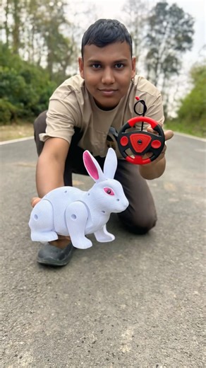 1ta Rc Horse and Remote Control Rabbit 🐇