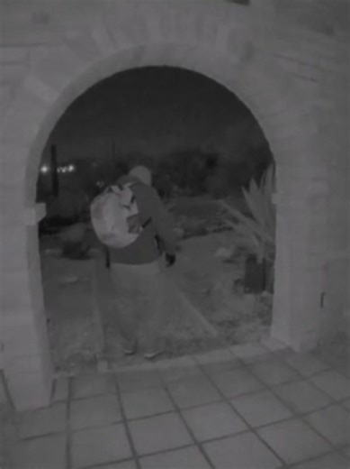 FBI: New video released in Nancy Guthrie search | nancy guthrie