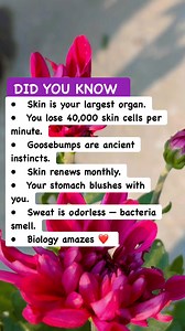 🔍 Skin & Body Facts You Didn’t Know #bodyfacts #healthfacts #didyouknow | Must Watch Reels