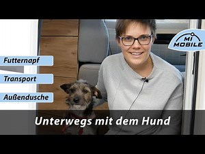 Unterwegs mit dem Hund - Unsere Lösungen für Ihre Reise mit Ihrem Hund in Ihrem Eura Mobil Wohnmobil