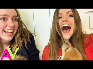 Girls Night In With My BFF! / Aud Vlogs