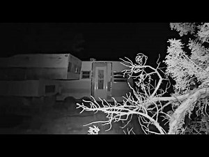 Watch This INTENSE New Super Clear Bigfoot Footage...One Of The MOST Disturbing Videos Ever!