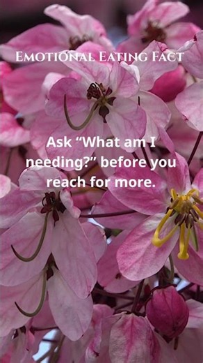 Curiosity turns down compulsion.