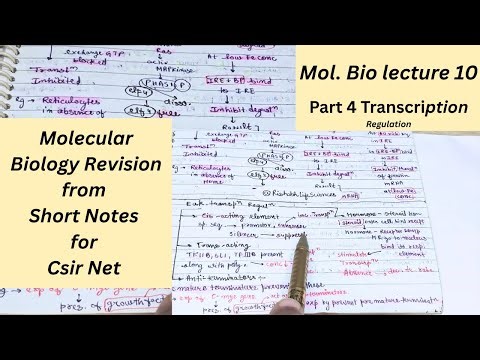 Molecular Biology Revision | Short Notes for CSIR NET, GATE, DBT, ICMR