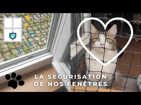 COMMENT SÉCURISER SES FENÊTRES POUR SON CHAT : La pose de nos filets - Plants and cats friendly