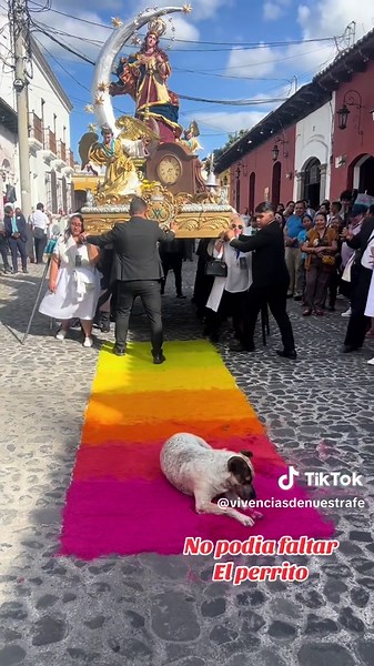 Celebrando a la Inmaculada Concepción en 2025