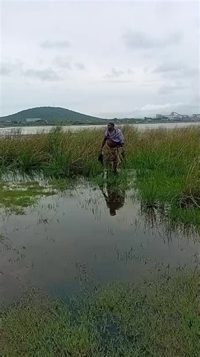 ching (@chindainnocent)’s videos with original sound - ching