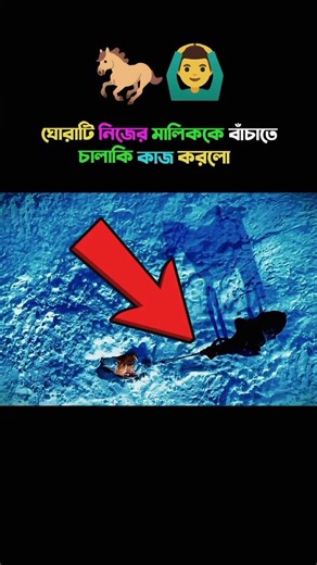 ঘোড়াটি খুবই চালাক ছিল 🐎🐴 | Movie Explanation #amazingfacts #youtubeshorts #shortsfeed #shorts #facts