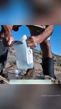 A Bowl That Saved Lives | #shorts