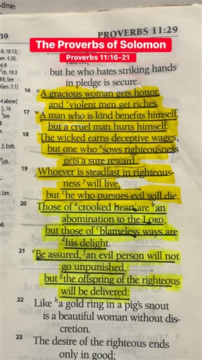 836K views · 12K reactions | The Proverbs of Solomon. Proverbs 11:16-21 #Jesus #bibleverse #Godisgood #FearOfTheLord #fbreelsvideo | The Bible Verses | Facebook