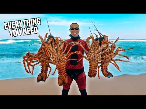 A Beginner’s Guide to Lobster Diving (What Actually Works)