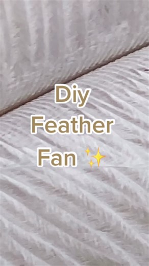 DIY Feather Fan: Create a Cute Victorian Aesthetic
