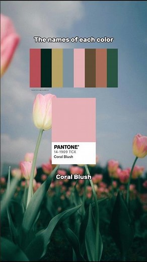 Dreamy Tulip Field: Discover Every Name Color in this Spring Wallpaper! #colorpalette #colortheory