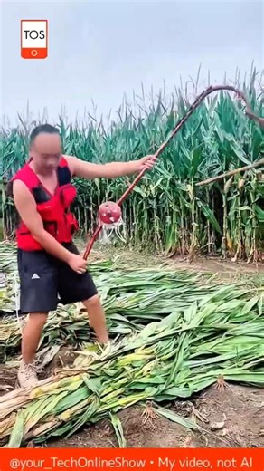 11 грудня 2025 р.