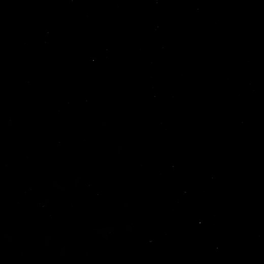 Exploring the Meaning Behind Billie Eilish's Wildflower Lyrics