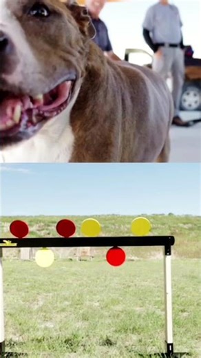 Built for Real Range Training AR500 Steel Targets #shorts