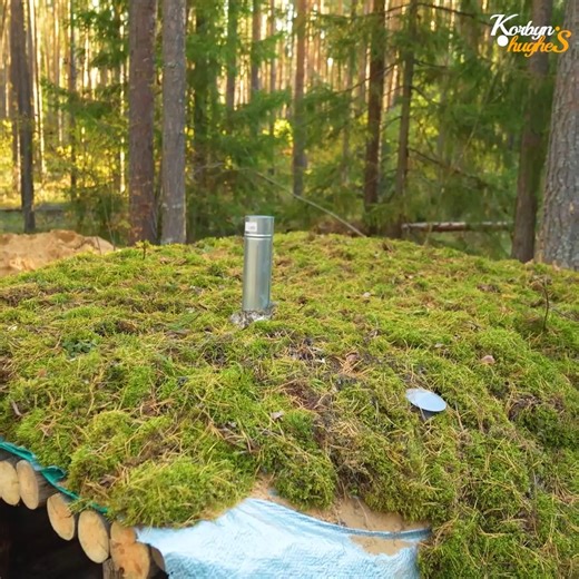 Creating Comfort Inside an Earth Shelter for Off the Grid Living | Alex Bushcraft