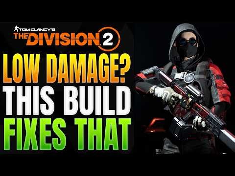 This Hybrid Striker Build Will Carry You to Endgame (The Division 2 Build Guide)