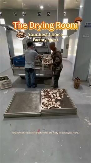 Vegetable drying room,can provide different size.Contact us get more product details. #dryingroom #dryingequipment #factory #machine #vegetabledryingroom #dry